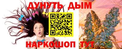 гидра Будённовск