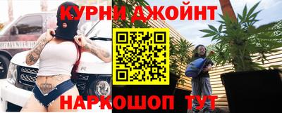 гидра Будённовск
