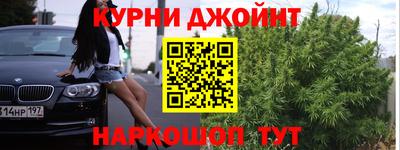 гидра Будённовск