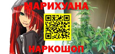 гидра Будённовск