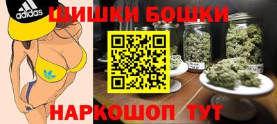 гидра Будённовск