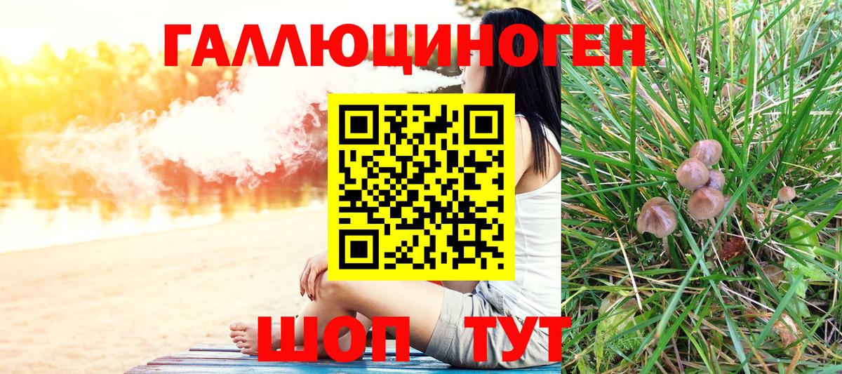Псилоцибиновые грибы Magic Shrooms  Галлюциногенные грибы Psilocybine cubensis  Вход с VPN  Благовещенск 